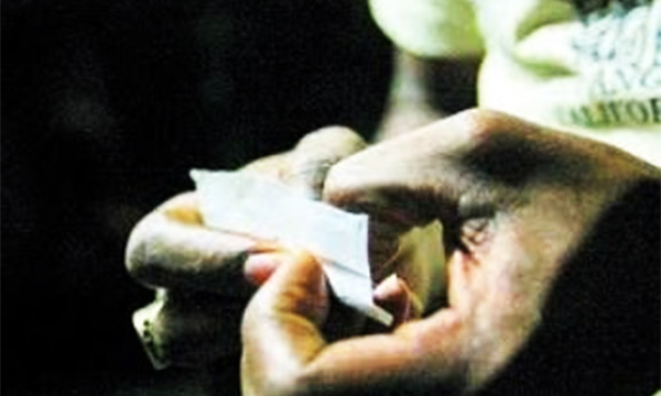 marijuana use among teens in jamaica Marijuana use among teens in jamaica
