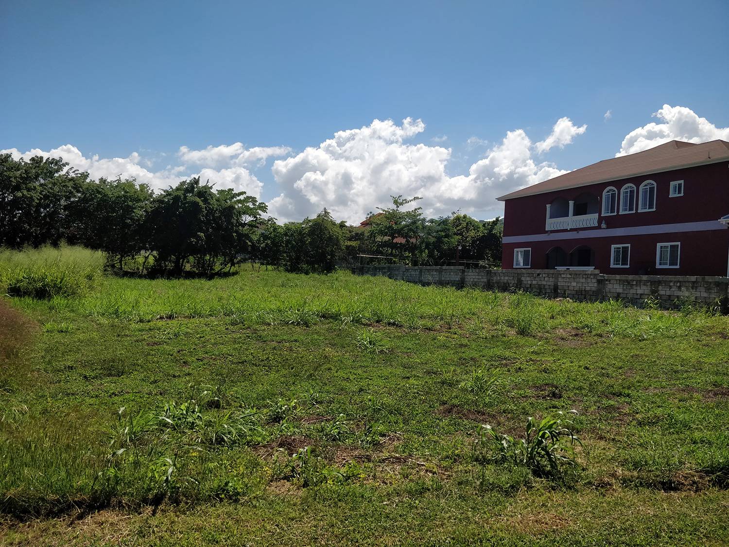 Prime Land For Sale In Plantation Village St Ann The Jamaican Blogs™