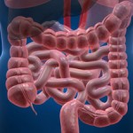 Clean your colon