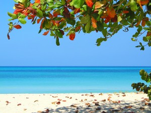 best beach in the world, jamaican beach