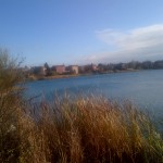professors lakes