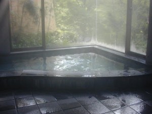 Japanese Hot Spring