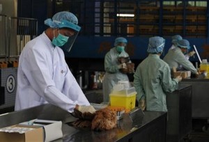 bird flu China
