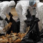 h7n9