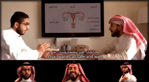no woman no cry parody