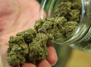 marijuana legal in Uruguay