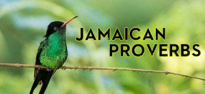 learn some proverbs