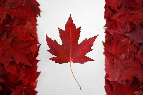 cost for Canadian visa visit now