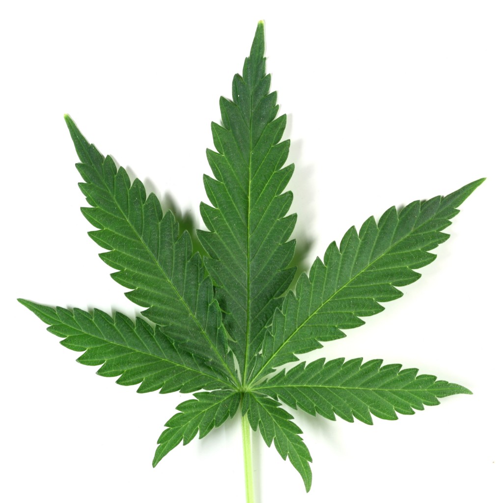 ganja marijuana legal Jamaica 2014