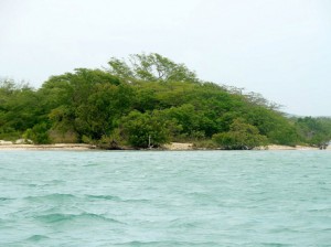 Problems with building a logistics hub on Goat Islands