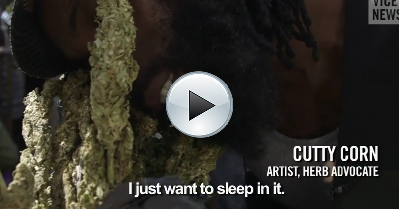 weed business in Jamaica decriminalise, legalize cannabis Jamaica