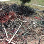 many people are stealing electricity in jamaica