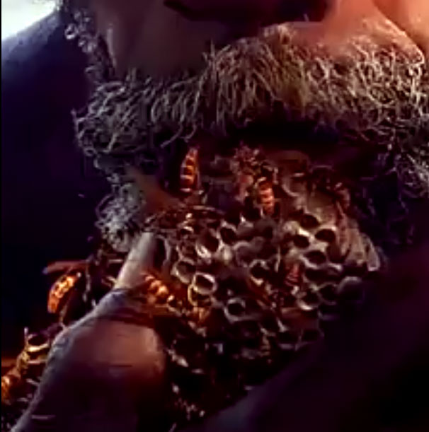 Jamaican man wasp king has many wasps