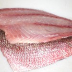 dangers of fish