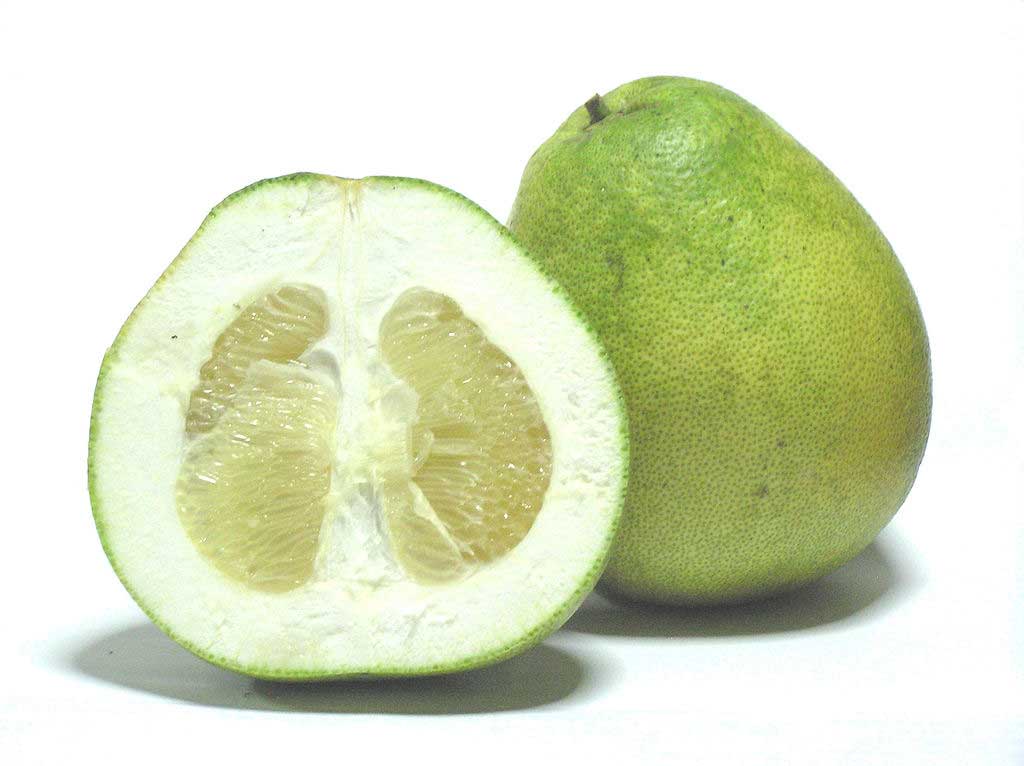 shaddock pomelo citrus maxima pummelo fruit