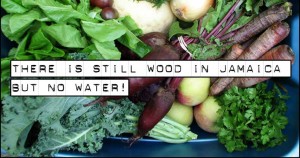 Jamaica land of fire and drought - wood but no water