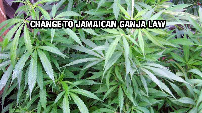 Change Jamaican Ganja marijuana law