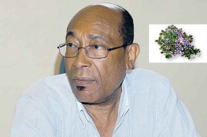 Lignum Vitae fights HIV