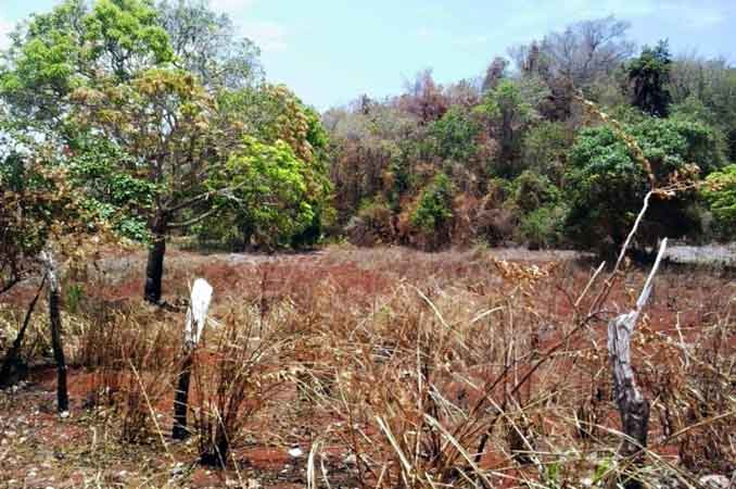 global warming drought water supply effect