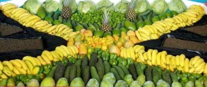 new agriculture minister for Jamaica