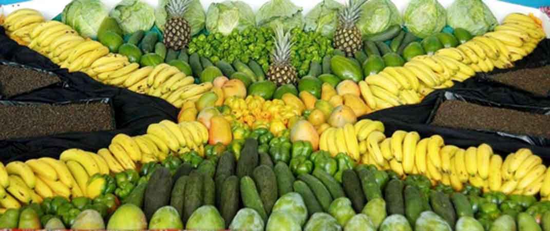 new agriculture minister for Jamaica