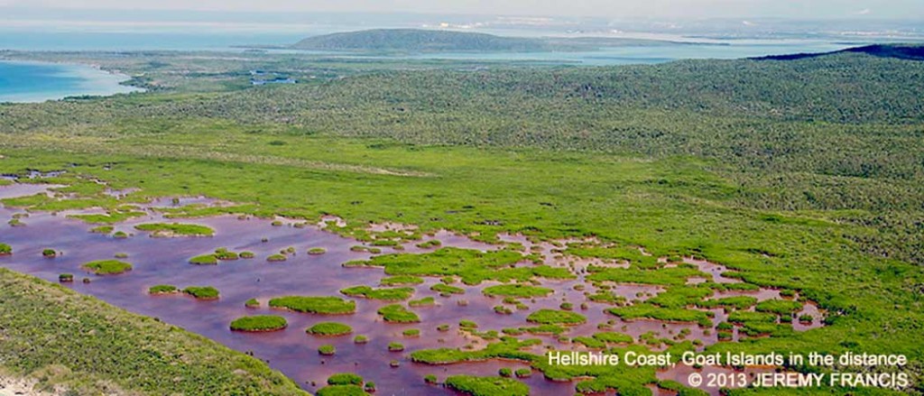 Hellshire Goat Island picture