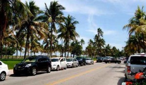 prostitutes working girl hookers Miami