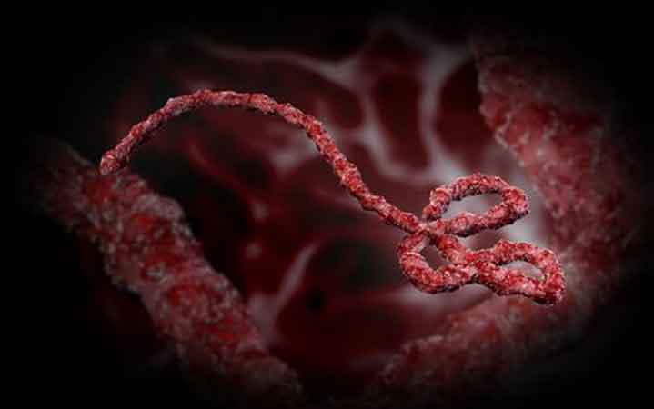 Ebola Africa Nigeria visitor in Jamaica