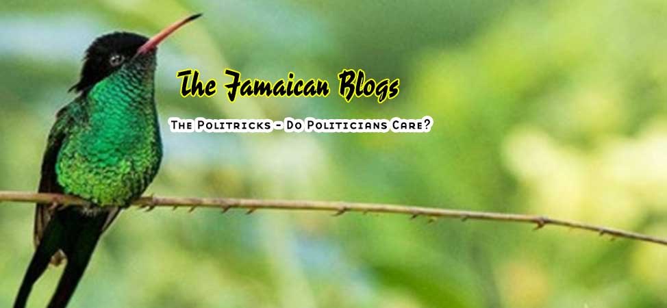 Do politicians care about people?