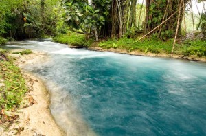 do not give roaring river water shed to China online petition
