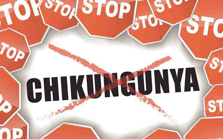 how many people number of people percentage with Chiikungunya Chik V in Jamaica Caribbean world