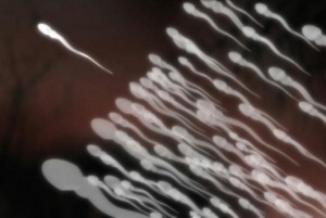 requirement qualifications to donate sperm become a sperm donor