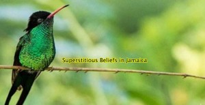 superstition-Jamaica