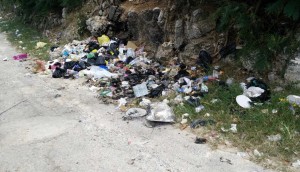 Image taken close to entrance of a residential community in St. Ann