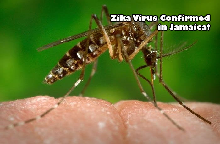 zika-virus-in-Jamaica