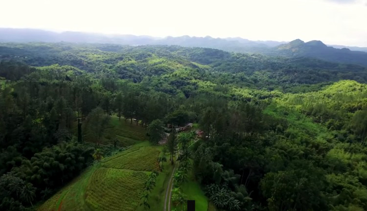 screenshot via Youtube