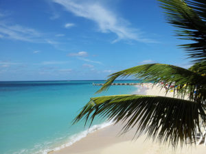 Montego Bay via Flickr - Creative Commons