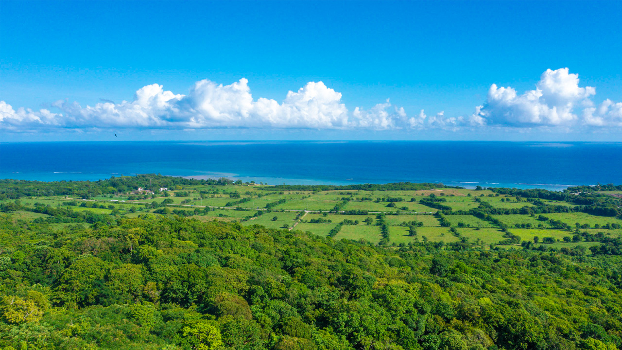 best land for sale in Jamaica