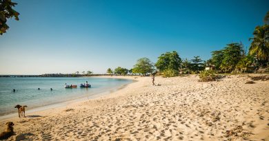 EU Removes Jamaica from High-Risk List for Financial Crimes