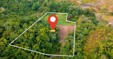 🔥HOT DEAL – 4.6 Acres of LAND FOR SALE in St Ann!